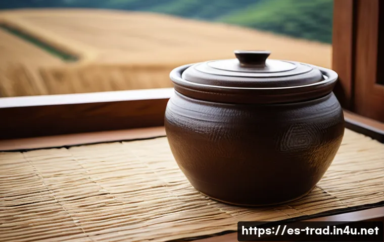 된장 - **Prompt 1: Artisanal Doenjang Making & Rustic Charm**
"A visually rich, naturalistic photograph...