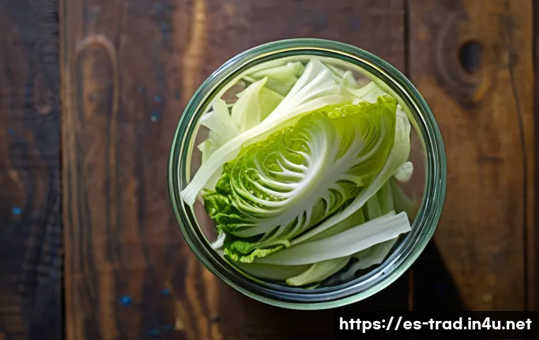Descubre los secretos para dominar el tiempo perfecto de fermentación en kimchi tradicional 3 전통김치의 숙성 기간 관련 이미지 1